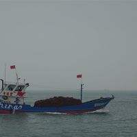 建設時產(chǎn)6000噸骨料系統(tǒng)、3.5公里廊道、配套3000萬噸碼頭！中電建廣東陽江大礦來了