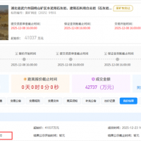 1.5元/噸！亞東水泥競得湖北武穴950萬噸/年砂石大礦