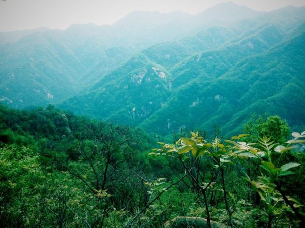 湖南嚴(yán)控采砂場(chǎng)使用林地審批 使用結(jié)束后一年內(nèi)需復(fù)綠